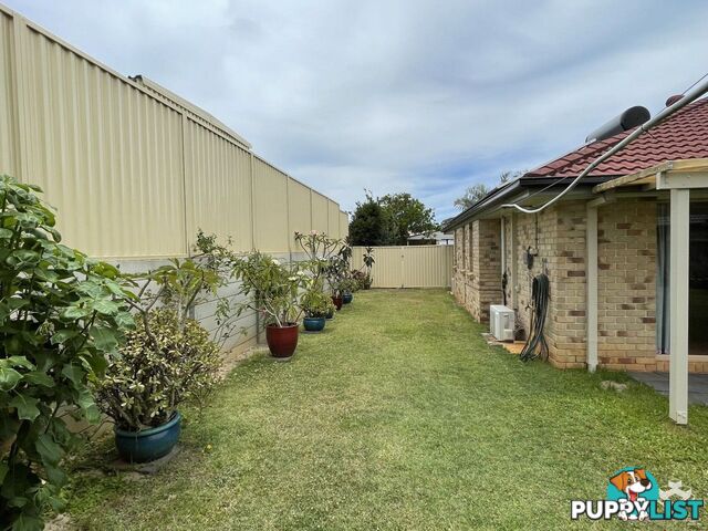 14 Mornington Court Wellington Point QLD 4160