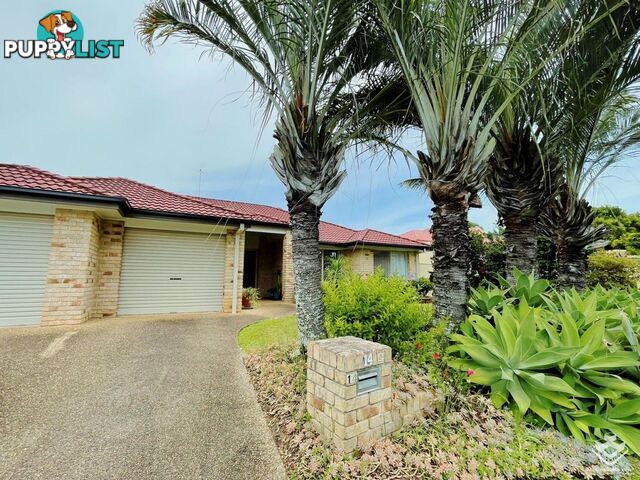 14 Mornington Court Wellington Point QLD 4160