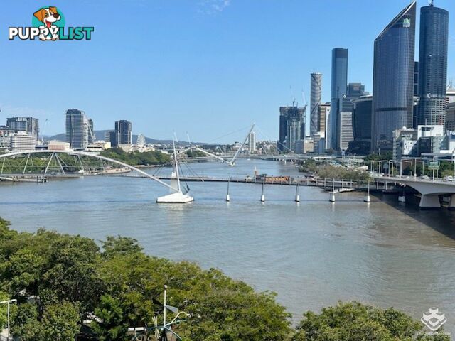 ID:21148382 26 Lower River Terrace South Brisbane QLD 4101