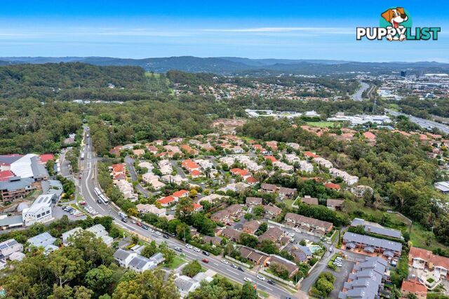 ID:21151801 12 Bridgman Drive Reedy Creek QLD 4227