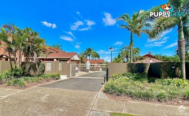 ID:21158080 60 Whitby Street Southport QLD 4215