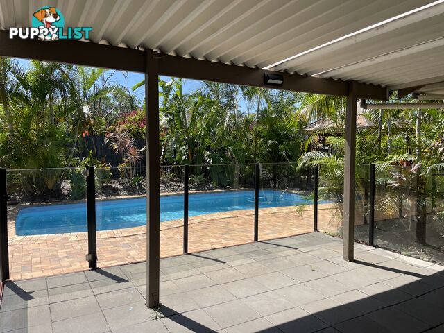 15 Kapilano Crescent Mountain Creek QLD 4557