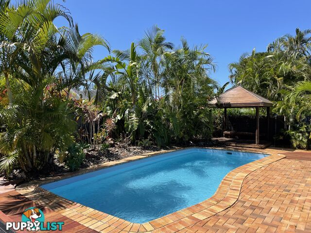 15 Kapilano Crescent Mountain Creek QLD 4557