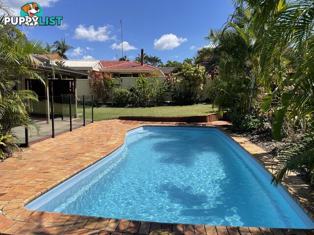 15 Kapilano Crescent Mountain Creek QLD 4557