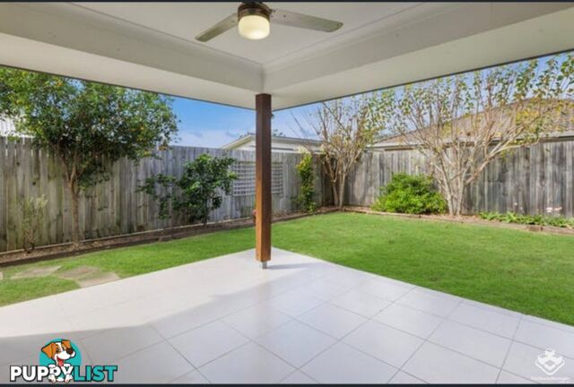 27 Essington Mews Leichhardt QLD 4305
