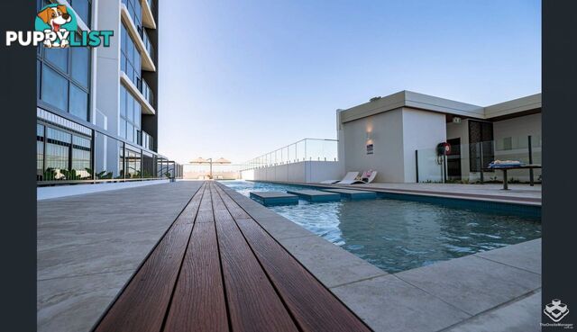 ID:21153846 37 Mayne Road Bowen Hills QLD 4006