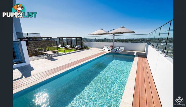 ID:21153846 37 Mayne Road Bowen Hills QLD 4006