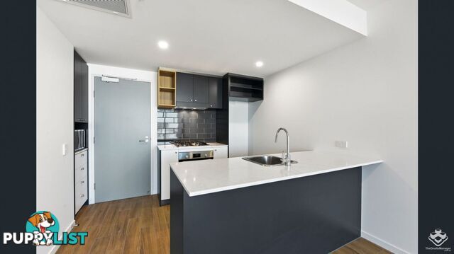 ID:21153846 37 Mayne Road Bowen Hills QLD 4006