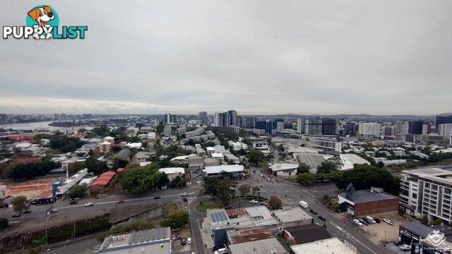 ID:21153846 37 Mayne Road Bowen Hills QLD 4006
