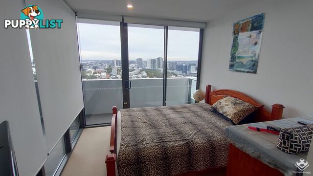 ID:21153846 37 Mayne Road Bowen Hills QLD 4006