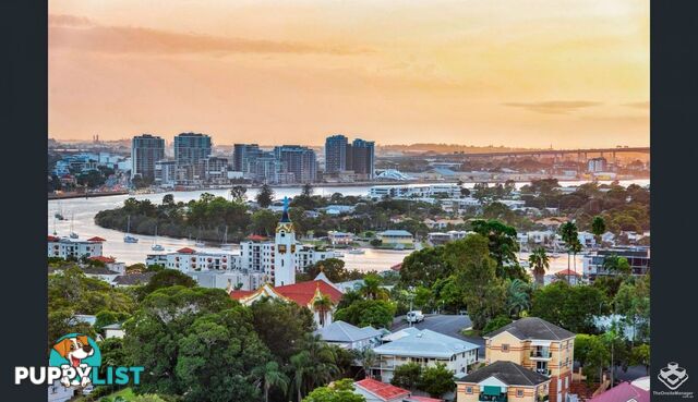 ID:21153846 37 Mayne Road Bowen Hills QLD 4006
