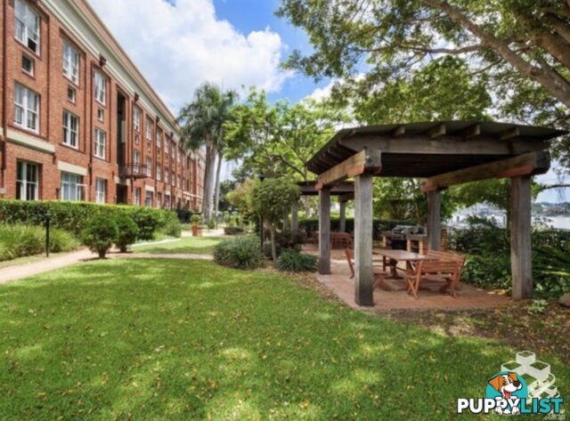 ID:21156779 53 Vernon Terrace Teneriffe QLD 4005
