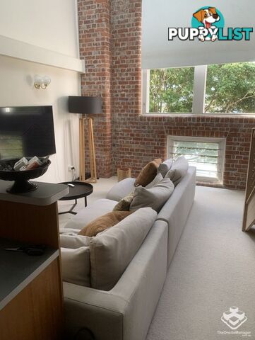 ID:21156779 53 Vernon Terrace Teneriffe QLD 4005