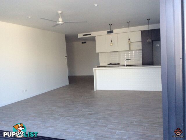 ID:3885695/116 Annie Street New Farm QLD 4005