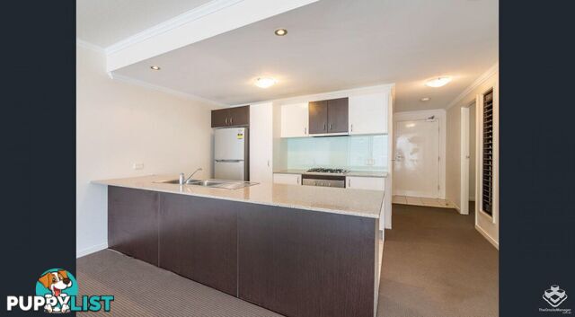 ID:21150055 95 Clarence Road Indooroopilly QLD 4068