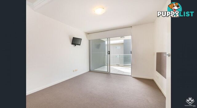 ID:21150055 95 Clarence Road Indooroopilly QLD 4068