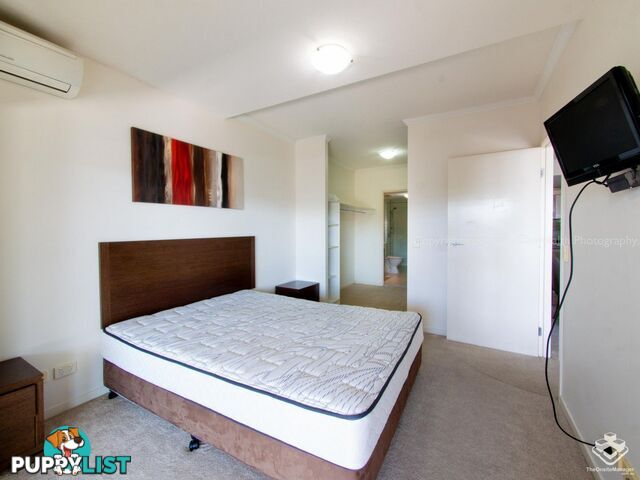 ID:21150055 95 Clarence Road Indooroopilly QLD 4068