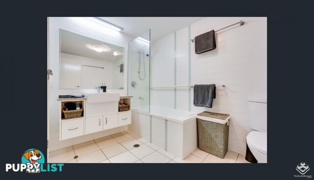 ID:21150055 95 Clarence Road Indooroopilly QLD 4068