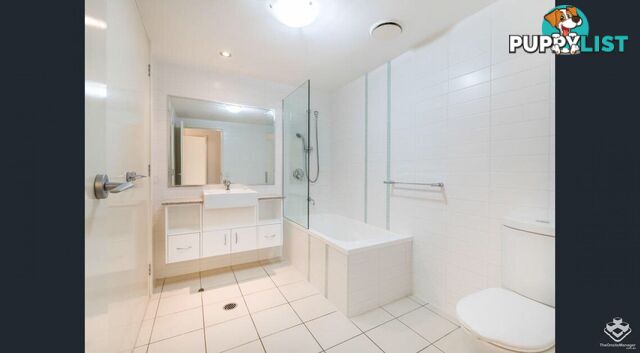ID:21150055 95 Clarence Road Indooroopilly QLD 4068