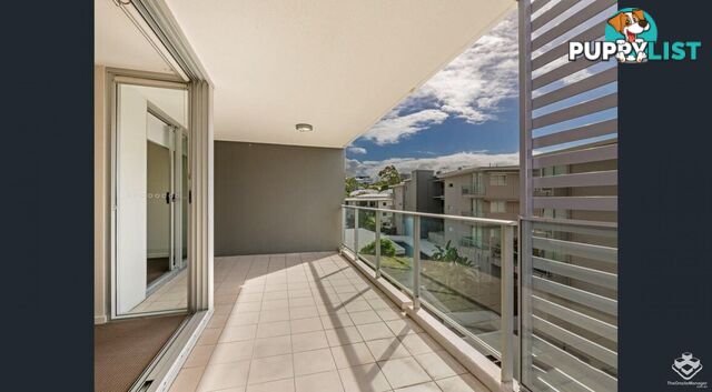 ID:21150055 95 Clarence Road Indooroopilly QLD 4068
