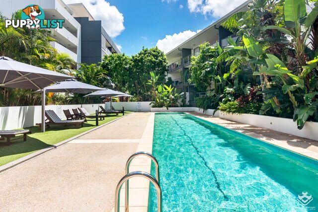 ID:21150055 95 Clarence Road Indooroopilly QLD 4068