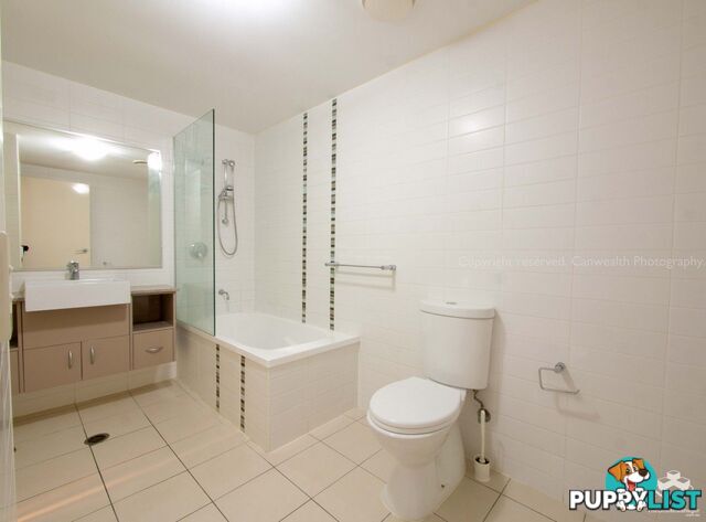 ID:21150055 95 Clarence Road Indooroopilly QLD 4068