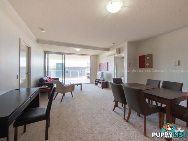 ID:21150055 95 Clarence Road Indooroopilly QLD 4068