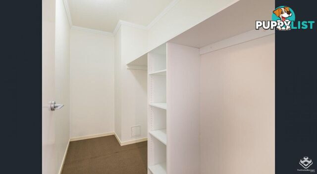 ID:21150055 95 Clarence Road Indooroopilly QLD 4068