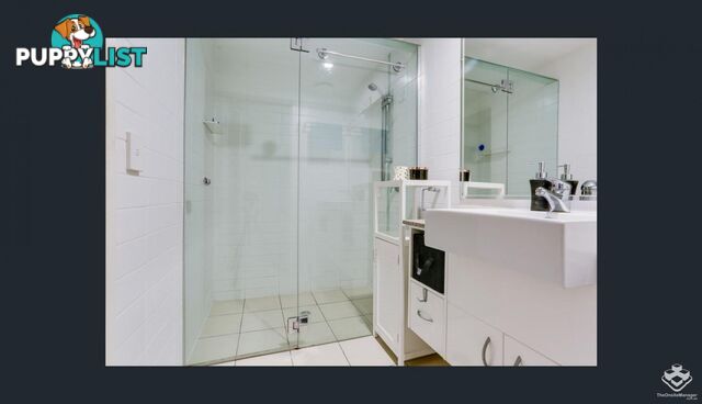 ID:21150055 95 Clarence Road Indooroopilly QLD 4068