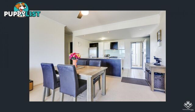 ID:21150055 95 Clarence Road Indooroopilly QLD 4068