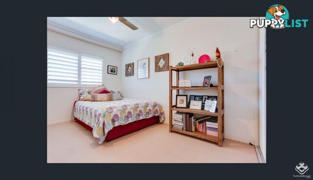 ID:21150055 95 Clarence Road Indooroopilly QLD 4068