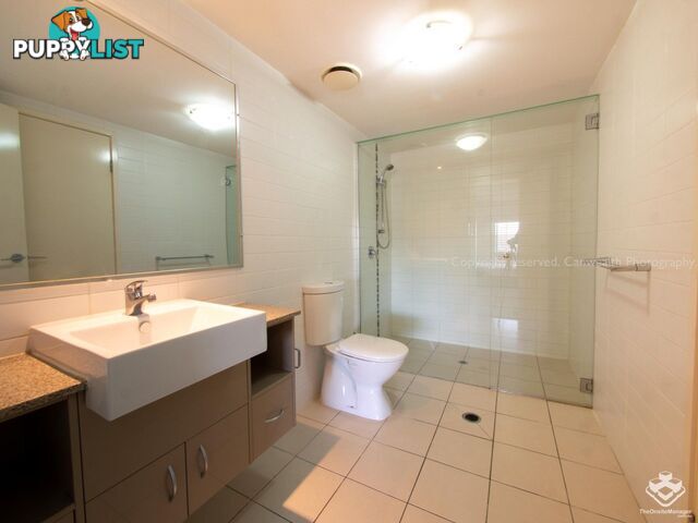 ID:21150055 95 Clarence Road Indooroopilly QLD 4068