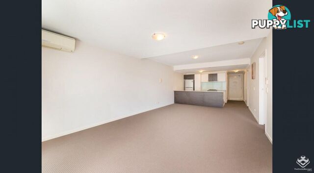 ID:21150055 95 Clarence Road Indooroopilly QLD 4068