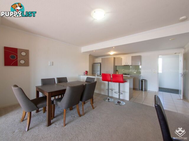 ID:21150055 95 Clarence Road Indooroopilly QLD 4068