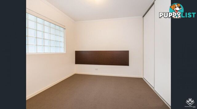 ID:21150055 95 Clarence Road Indooroopilly QLD 4068