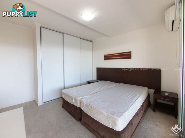 ID:21150055 95 Clarence Road Indooroopilly QLD 4068
