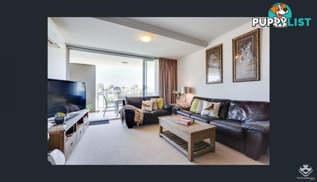 ID:21150055 95 Clarence Road Indooroopilly QLD 4068