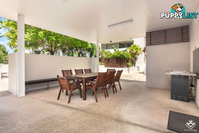 ID:21150055 95 Clarence Road Indooroopilly QLD 4068