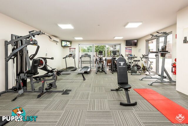 ID:21150055 95 Clarence Road Indooroopilly QLD 4068