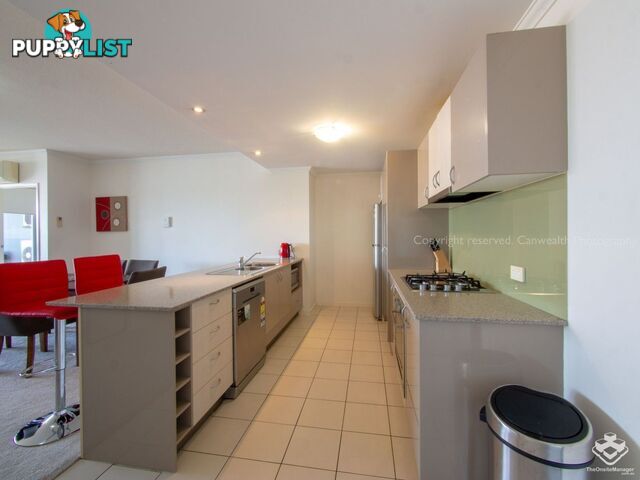 ID:21150055 95 Clarence Road Indooroopilly QLD 4068