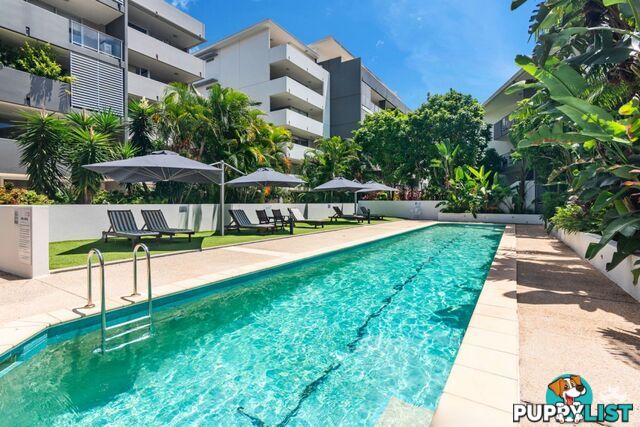 ID:21150055 95 Clarence Road Indooroopilly QLD 4068