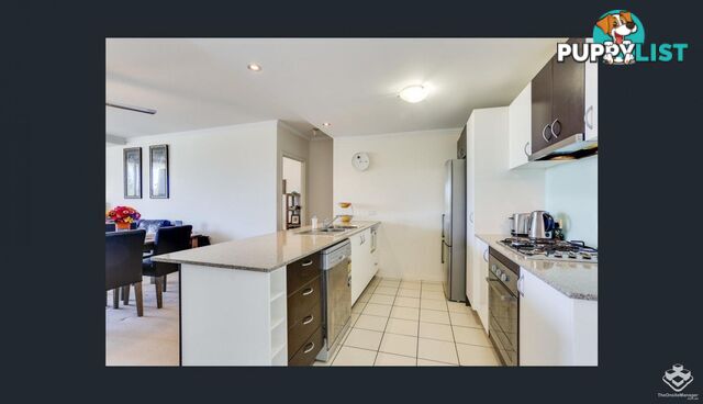 ID:21150055 95 Clarence Road Indooroopilly QLD 4068