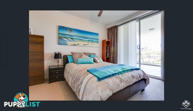 ID:21150055 95 Clarence Road Indooroopilly QLD 4068