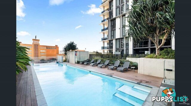 ID:21154635 22 Railway Terrace Milton QLD 4064