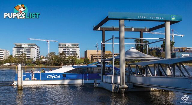ID:21154635 22 Railway Terrace Milton QLD 4064
