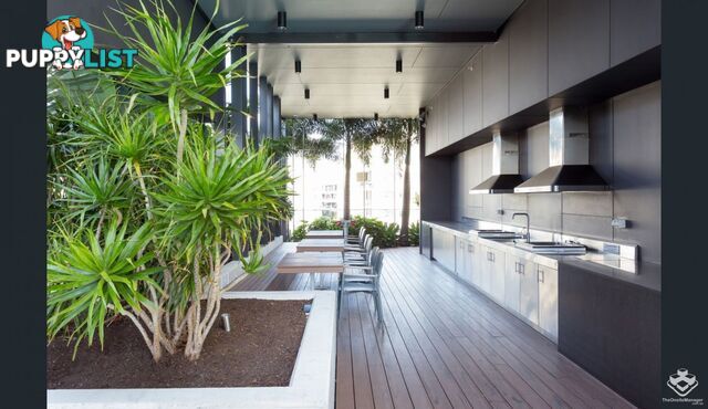 ID:21154635 22 Railway Terrace Milton QLD 4064