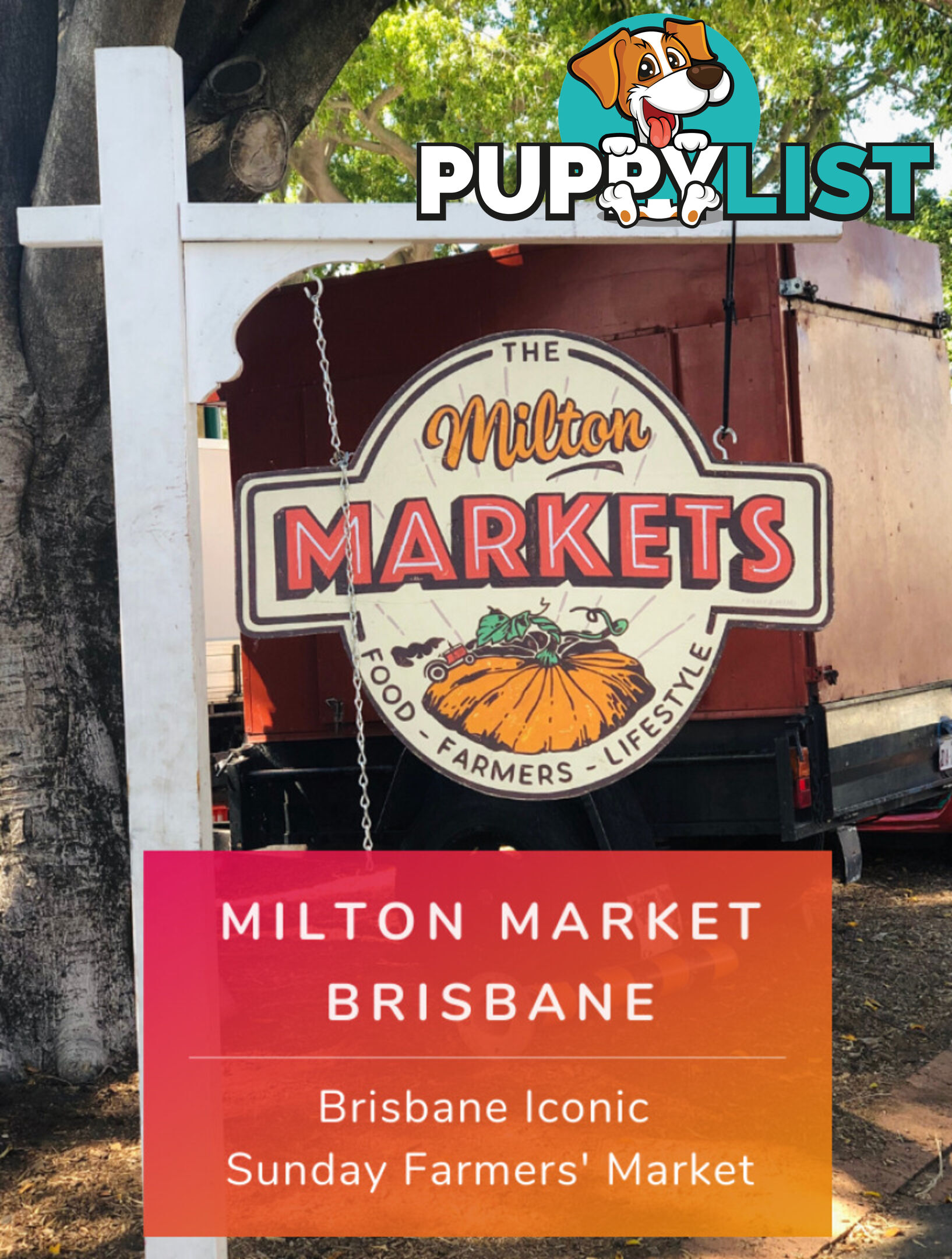 ID:21154635 22 Railway Terrace Milton QLD 4064