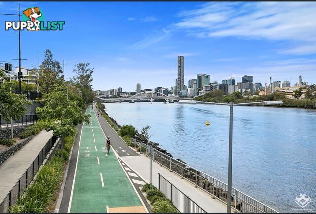 ID:21154635 22 Railway Terrace Milton QLD 4064