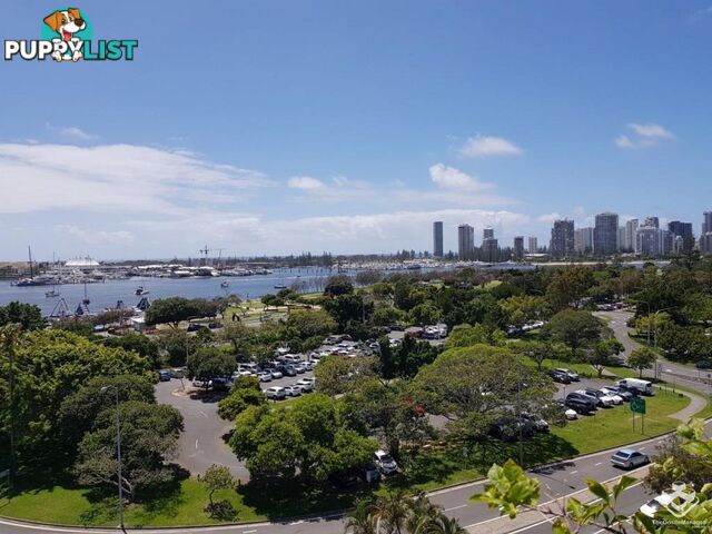 30 Marine Parade Southport QLD 4215