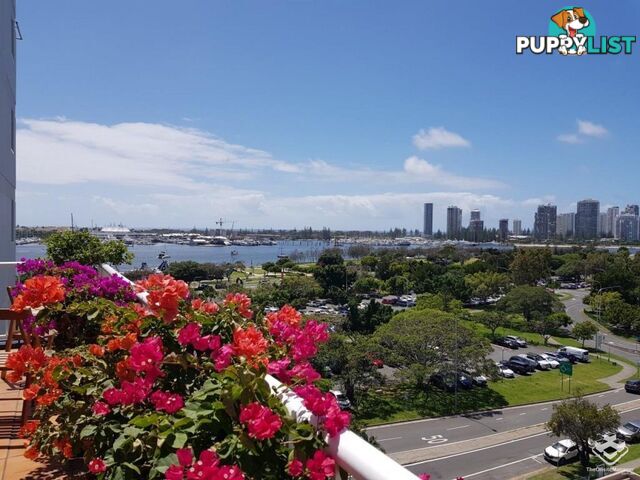 30 Marine Parade Southport QLD 4215